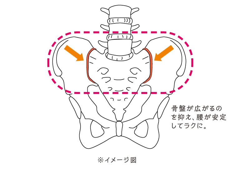 骨盤が広がるのを抑え、腰が安定してラクに。