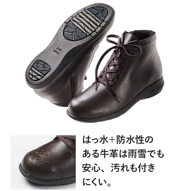 ͂{ĥ鋍v͉JłSAtɂB