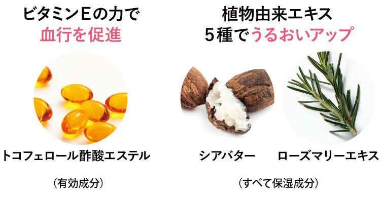 r^~d̗͂
siBL̊ÑŐO̍rhB