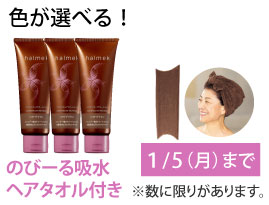 nN wA}jLAg[gg 3{g ӎsZbg