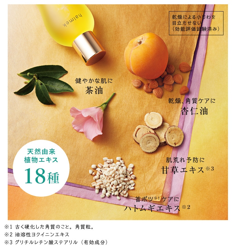 ���́A���Ă��~�߂Ɣ����t�����œ��ۂ̃E�H�[�L���O�ցI�����1�{�����Ŋ����B