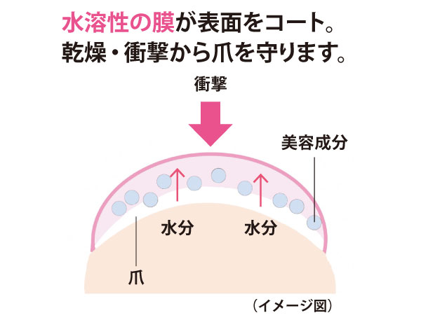 モイスト爪補強コート