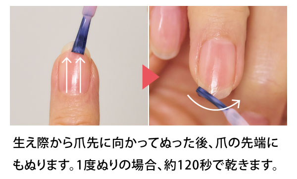 モイスト爪補強コート