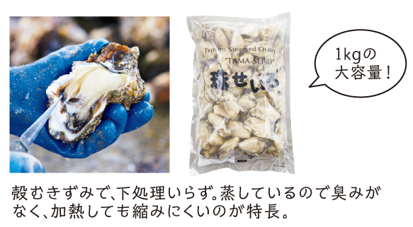 kނ݂Ť炸Ă̂ŏL݂ȂMĂk݂ɂ̂B