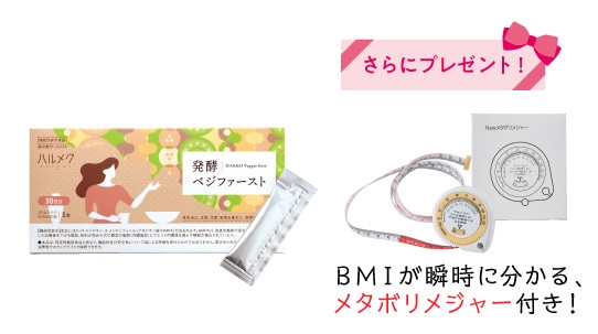 �u������g�N�ցv<br>�n�����N ���y�x�W�t�@�[�X�g<br>�i30�����j�������͂�