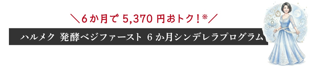 �U������5,184 �~���g�N�I�^6 �����V���f�����v���O����