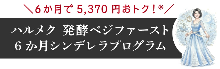 �U������5,184 �~���g�N�I�^6 �����V���f�����v���O����