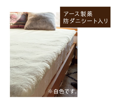 �I�[�X�g�����A �O�������[�g���~���p�b�h �v���~�A��