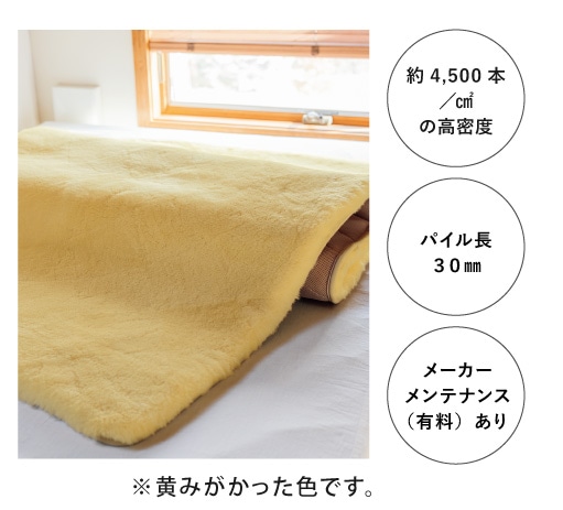 �I�[�X�g�����A �O�������[�g���~���p�b�h �S�[���h