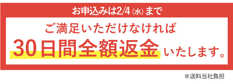 ���������������Ȃ����30���ԑS�z�ԋ��������܂��B