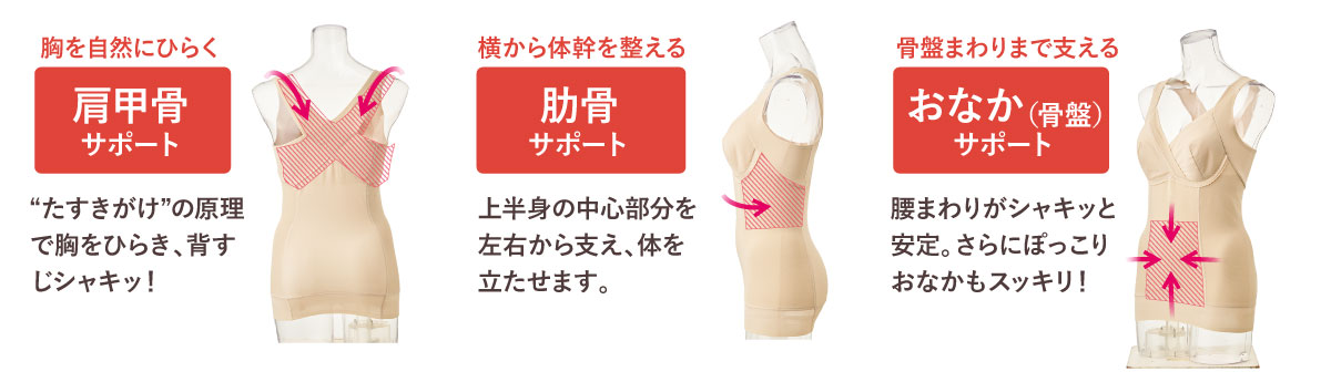 3�̃T�|�[�g