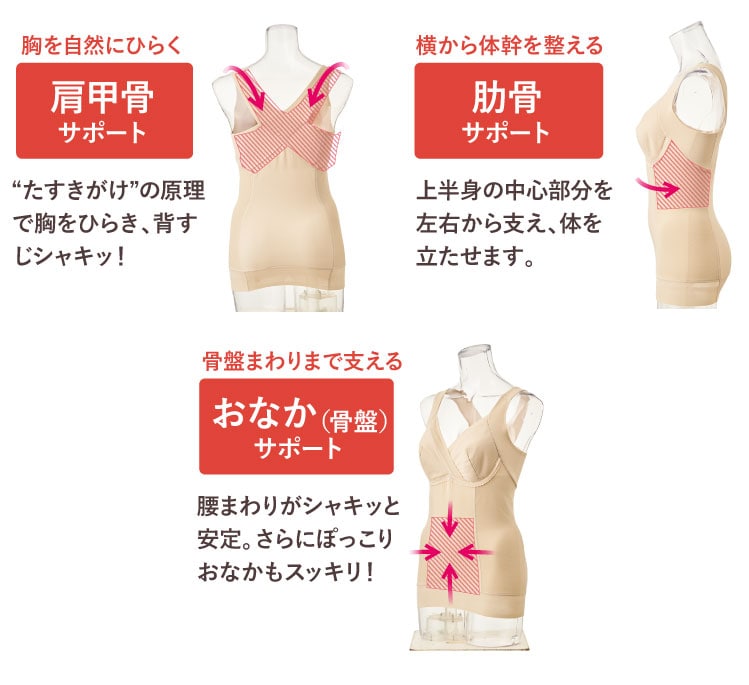 3�̃T�|�[�g