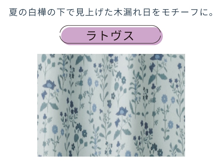 �t�B�����C�\�������g���X�����n