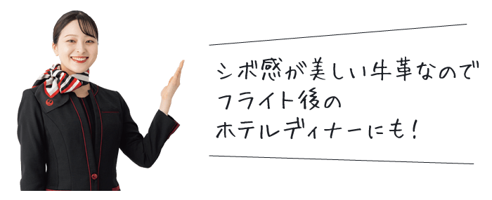 �V�{�������������v�Ȃ̂Ńt���C�g��̃z�e���f�B�i�[�ɂ��I