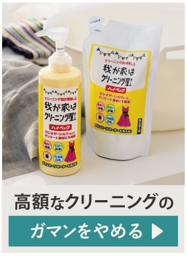 �n�C�E�x�b�N �䂪�Ƃ̓N���[�j���O������