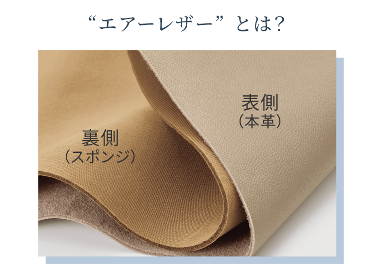 ���n�̐���