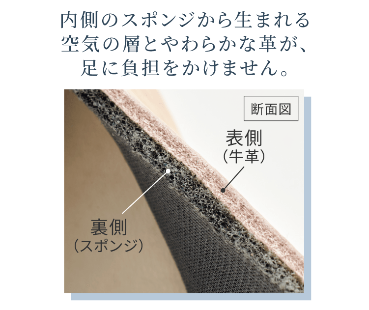 ���n�̐���