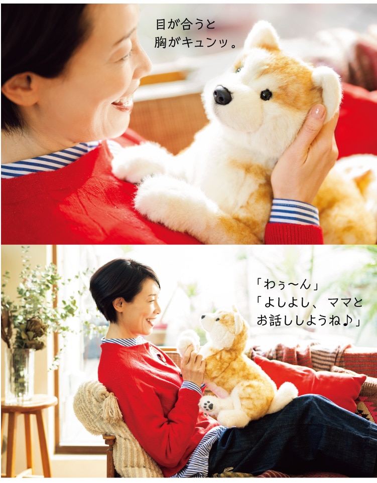 �ڂ������Ƌ����L�����b�B