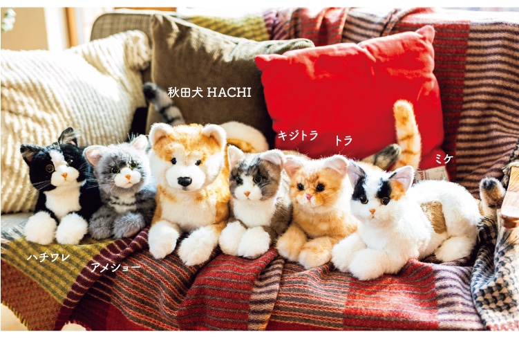 �H�c��HACHI �L�W�g�� �g�� �~�P