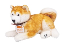 �ȂłȂŃ��������EX