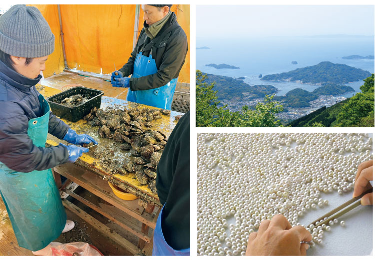 ����d�グ���F�a���Y�B