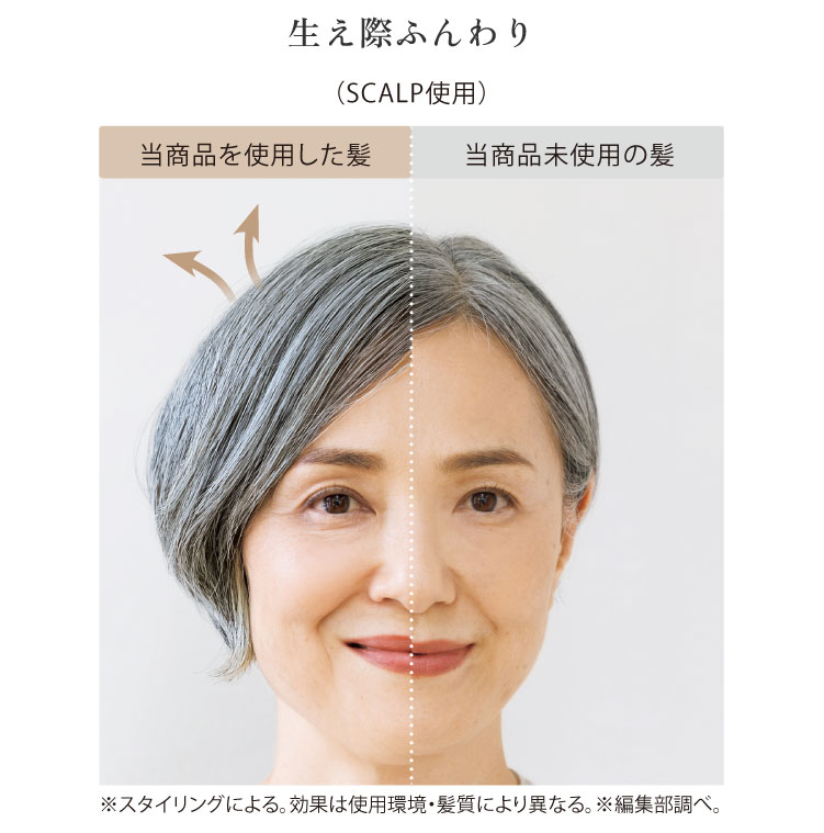 ReFa �r���[�e�b�N�h���C���[�X�}�[�g �_�u��