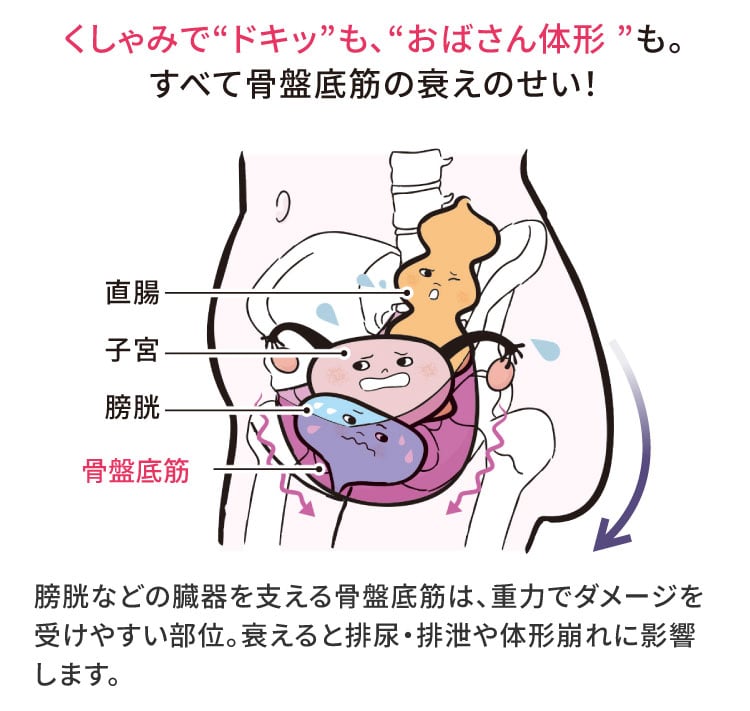 ���Ւ�؂̐���������