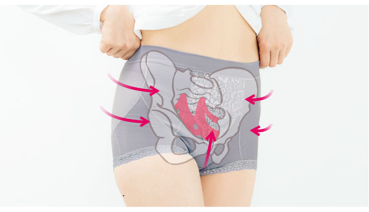 �n�����N ���N�T�|�[�g�E<br>
     ���Ւ�؃T�|�[�g�V���[�c�i�ʔN�p�j