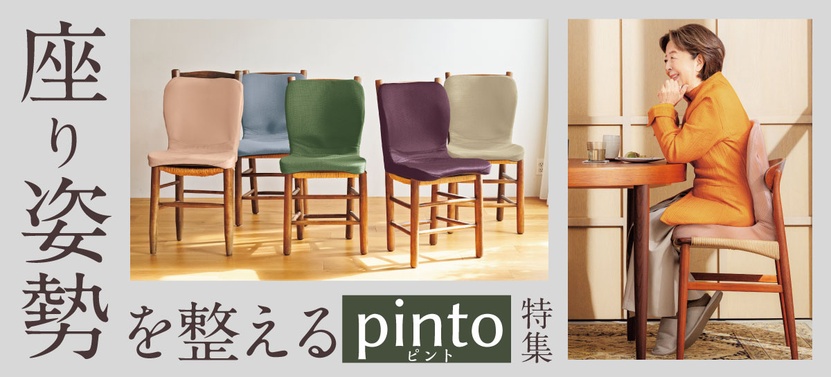 ����p���𐮂���pinto���W