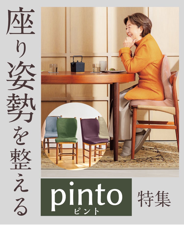����p���𐮂���pinto���W