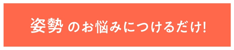 �p���̂��Y�݂ɂ��邾���I