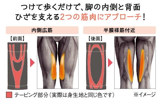 ���ĕ��������ŁA�r�̓����Ɣw�ʂЂ����x����Q�̋ؓ��ɃA�v���[�`�I