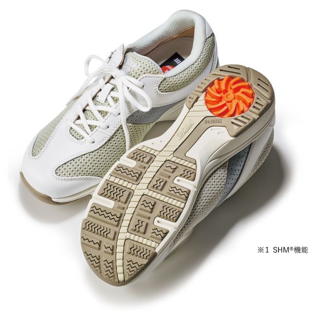 �A�T�q ���f�B�J���E�H�[�N�@MS-L 4E