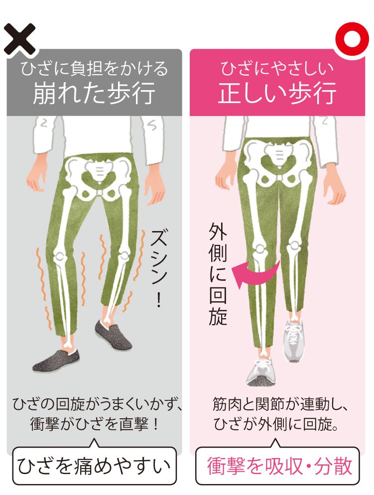 �ؓ��Ɗ֐߂��A�����A�Ђ����O���ɉ���B