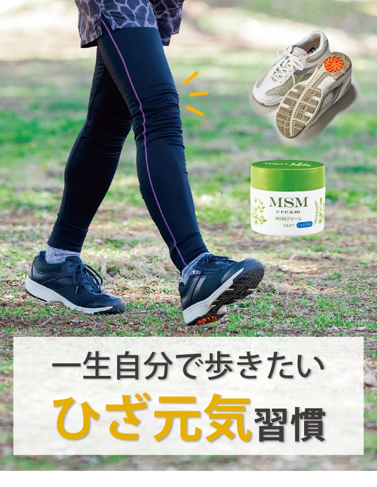 �ꐶ�����ŕ�������
�Ђ����C �K��