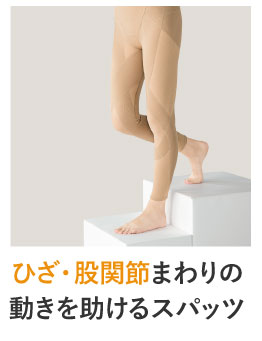 �Ђ��E�Ҋ֐߂܂��̓�����������X�p�b�c