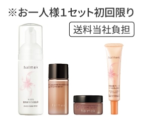 �n�����N �����̊�{ �~�j�Z�b�g�q���ϐ����N���[���r