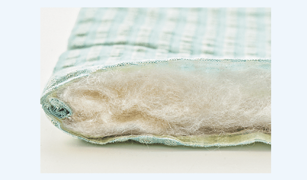 �V���N100���̒��킽�����x�΍�̃J�M�I