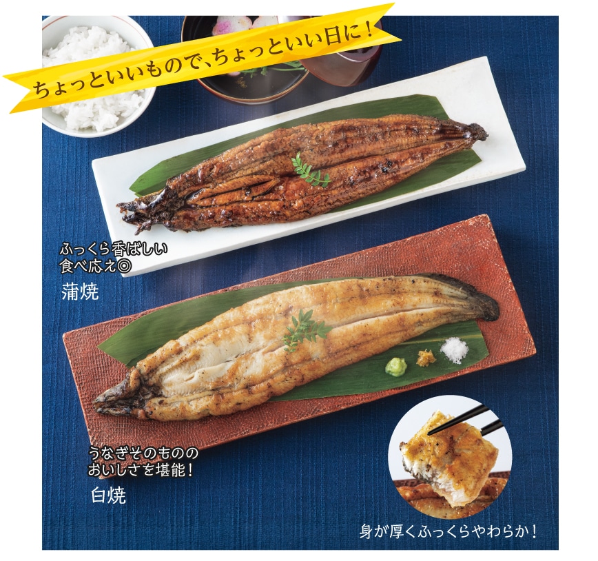 ������Ƃ������̂Ť������Ƃ������ɁI���Ȃ����Ă��Q��