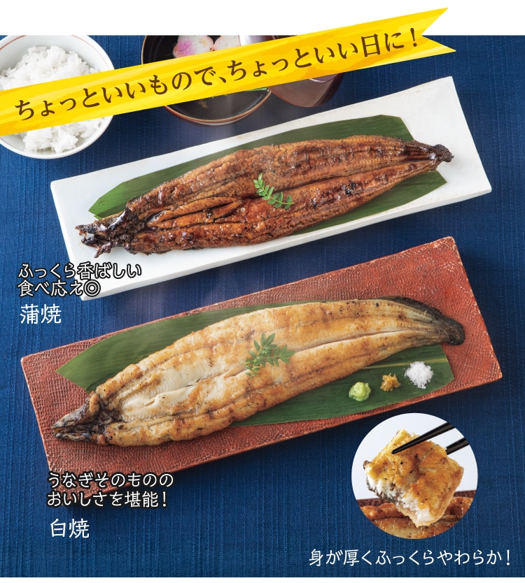 ������Ƃ������̂Ť������Ƃ������ɁI���Ȃ����Ă��Q��