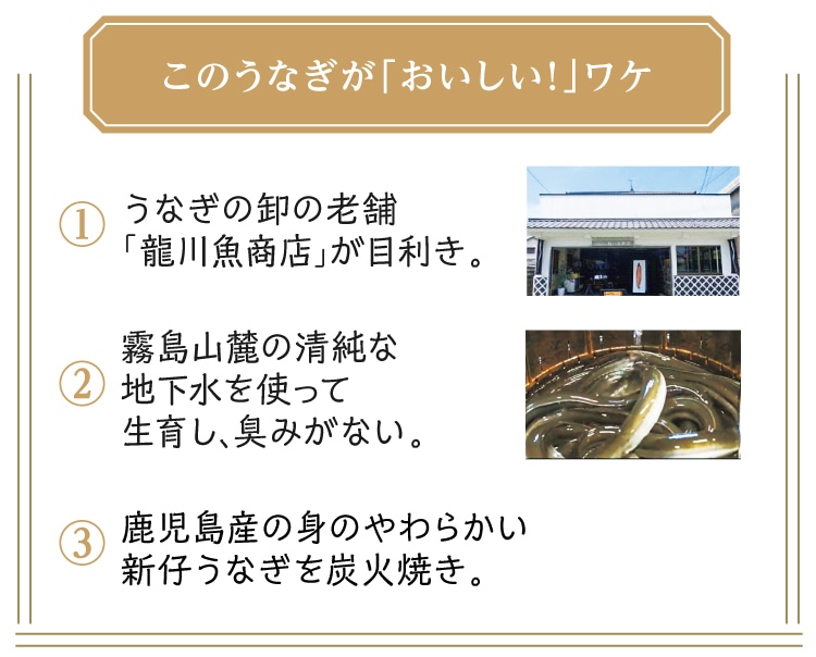 ���̂��Ȃ�������������I����P