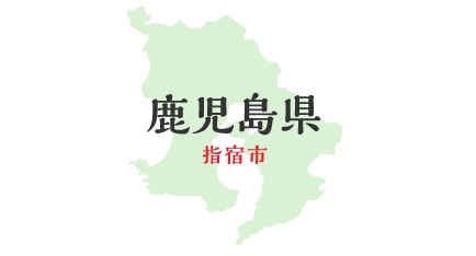 �������� �w�h�s