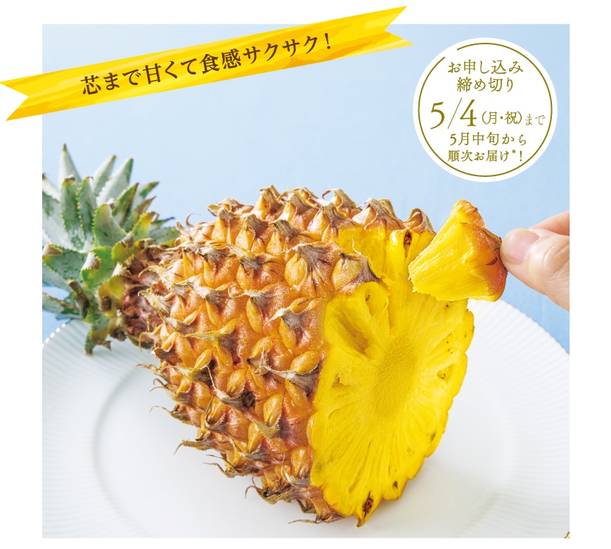 �c�܂ŊÂ��ĐH���T�N�T�N�I�p�C�i�b�v��