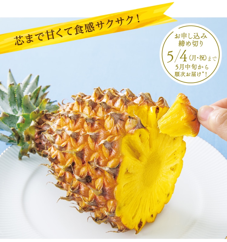 �c�܂ŊÂ��ĐH���T�N�T�N�I�p�C�i�b�v��