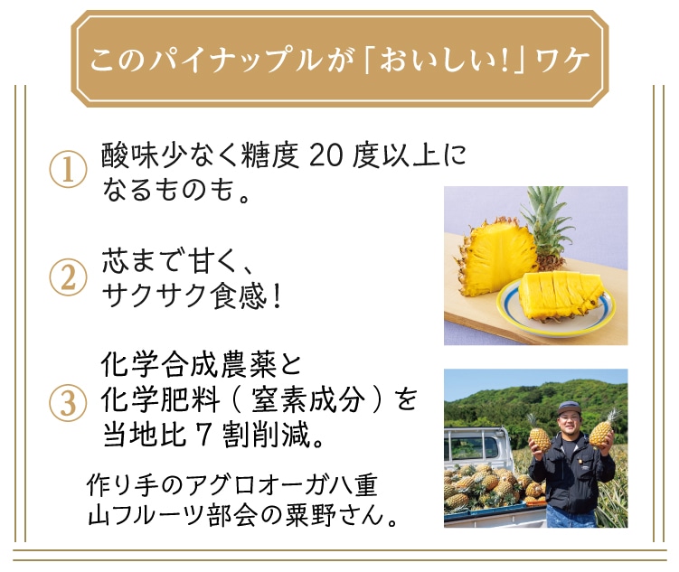 ���̃p�C�i�b�v�����u���������I�v���P