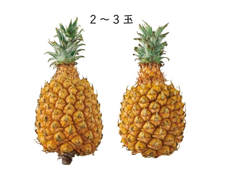 �Ί_���Y �������ĐH�ׂ���{�S�[���p�C���i1. 5kɡ�j