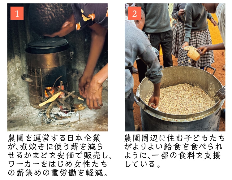 �_�����ӂɏZ�ގq�ǂ����������悢���H��H�ׂ��悤�ɤ�ꕔ�̐H�����x�����Ă���