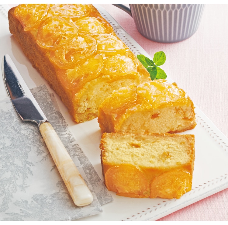 �M�q�̗������