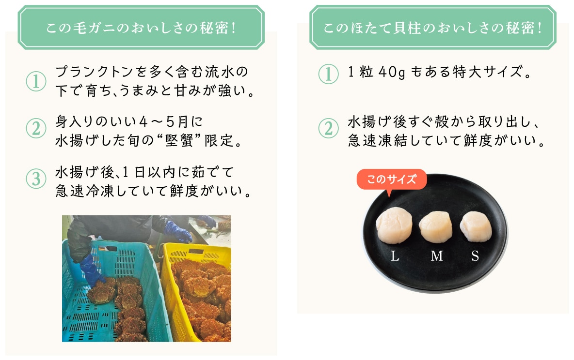 ���̖уK�j�̂��������̔閧�I���̂ق��ĊL���̂��������̔閧�I