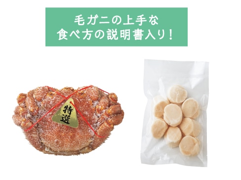 �k�C�� �I�z�[�c�N�Y�уK�j�Ƒ嗱�ق��ĊL���Z�b�g